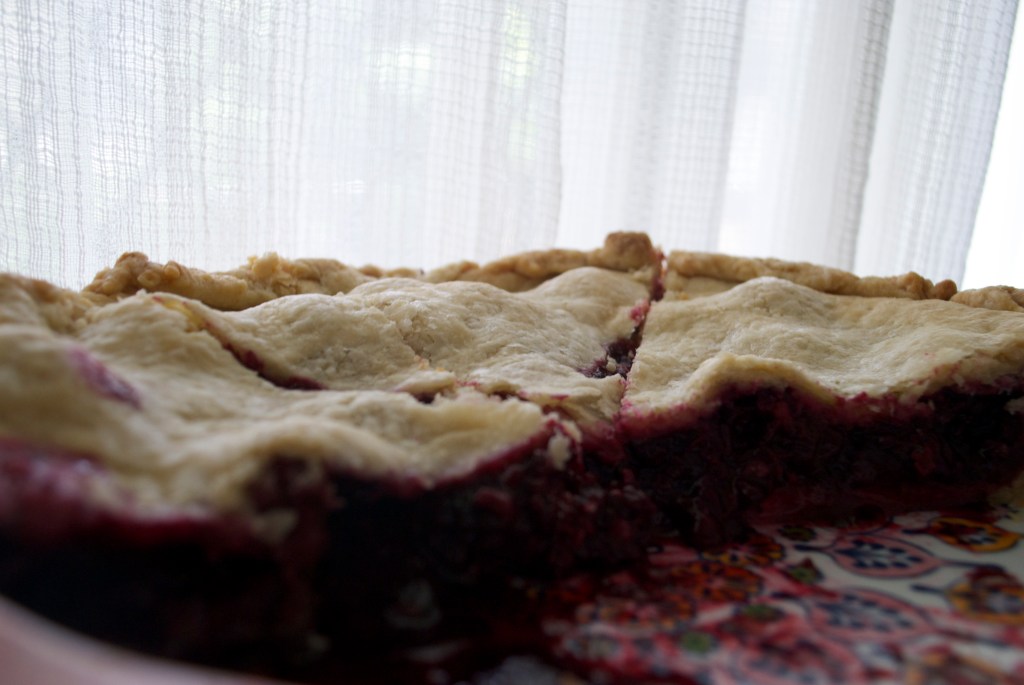 This one didn't last long. Couldn't get a shot of the whole thing before it was half eaten. 