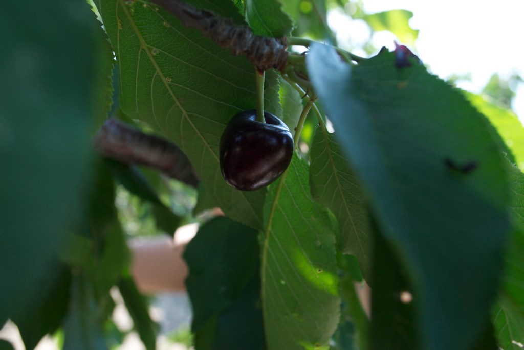 The darkest of Bings.