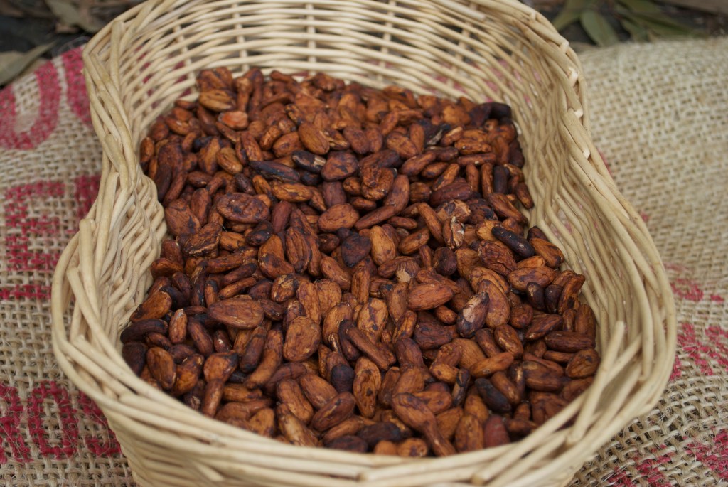 Beans undergo a fermenting process