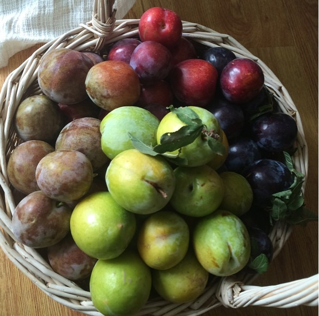 Screen Shot 2015-07-23 at 8.14.16 PM