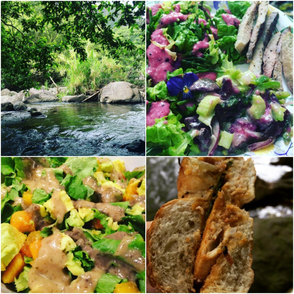 Upper Left: Iao Valley picnic scenery Upper Right: Vegan picnic plate that I made and shared with a close friend on her lunch break-Salad of Manoa Lettuce, Sea Asparagus, Scallions, Local Flowers w/ a Homemade Dragonfruit Macadamia Nut Dressing. Sides of oven baked local Taro w/ salt & pepp, plus another salad of Star Apple, Celery, Onion, Jalapeño, Cilantro in a Creamy Taro Dressing Bottom Left: Fresh Green Salad with Local Papaya Seasoned with Local Vanilla Bean powder, with local Avocado chunks and Noni Dressing. Bottom right: Vegan Gardein Chik'n Cutlet cooked with my Homemade Mango BBQ sauce on a store-bought, but locally made Coconut Bagel. 