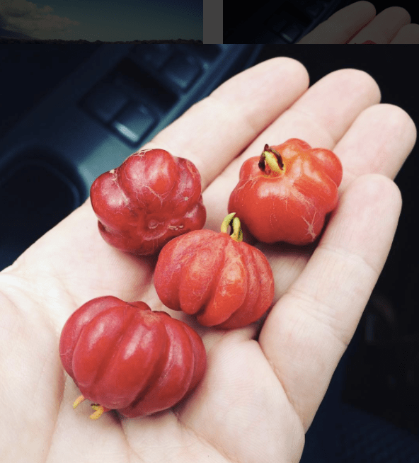 screen-shot-2017-03-04-at-1-36-13-pm